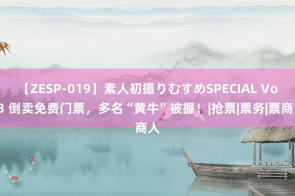 【ZESP-019】素人初撮りむすめSPECIAL Vol.3 倒卖免费门票，多名“黄牛”被握！|抢票|票务|票商人