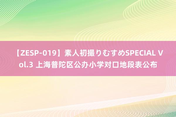 【ZESP-019】素人初撮りむすめSPECIAL Vol.3 上海普陀区公办小学对口地段表公布