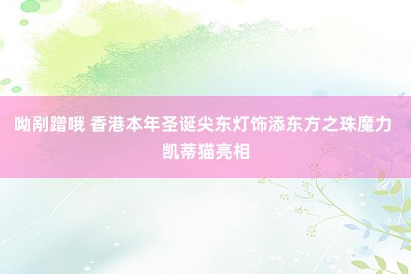 呦剐蹭哦 香港本年圣诞尖东灯饰添东方之珠魔力 凯蒂猫亮相