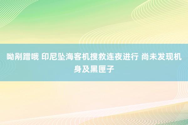 呦剐蹭哦 印尼坠海客机搜救连夜进行 尚未发现机身及黑匣子