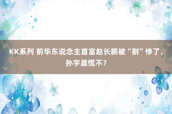 KK系列 前华东说念主首富赵长鹏被“割”惨了，孙宇晨慌不？