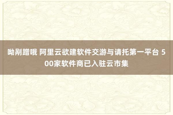 呦剐蹭哦 阿里云欲建软件交游与请托第一平台 500家软件商已入驻云市集