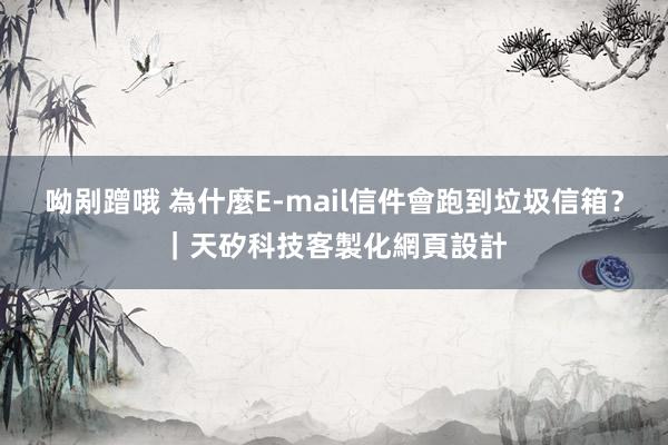 呦剐蹭哦 為什麼E-mail信件會跑到垃圾信箱？｜天矽科技客製化網頁設計