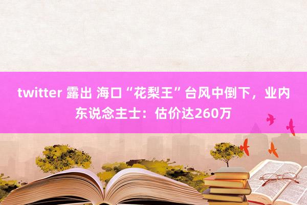 twitter 露出 海口“花梨王”台风中倒下，业内东说念主士：估价达260万