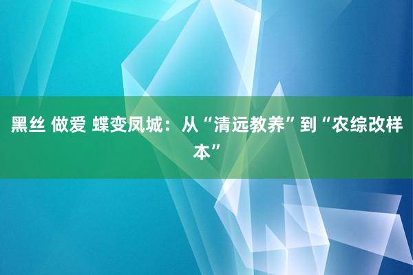 黑丝 做爱 蝶变凤城：从“清远教养”到“农综改样本”