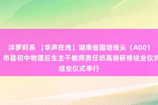 洋萝莉系 【华声在线】湖南省国培接头（A0014-6）市县初中物理后生主干教师责任坊高端研修结业仪式举行