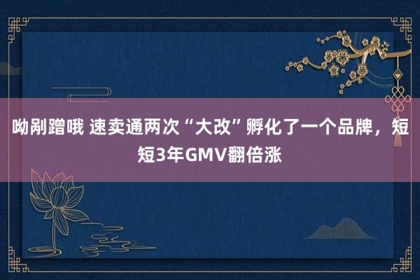 呦剐蹭哦 速卖通两次“大改”孵化了一个品牌，短短3年GMV翻倍涨