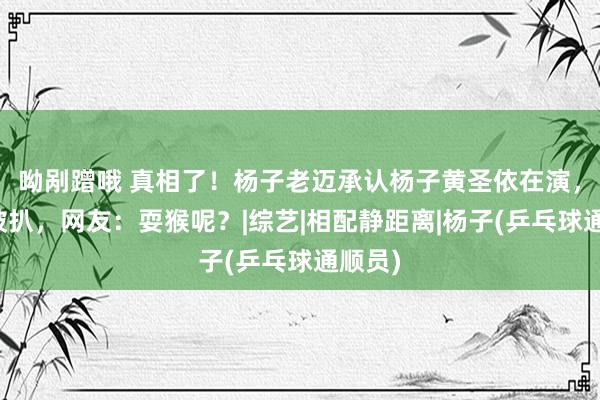 呦剐蹭哦 真相了！杨子老迈承认杨子黄圣依在演，细节被扒，网友：耍猴呢？|综艺|相配静距离|杨子(乒乓球通顺员)